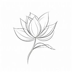 a drawing of a lotus flower on a white background