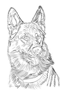 a black and white drawing of a dog's head with his tongue hanging out