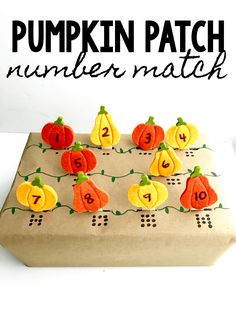 a pumpkin patch number match is displayed on a board with felt squashs and leaves