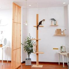 a cat tree in the corner of a room