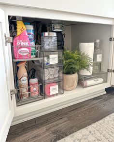 an organized kitchen cabinet filled with cleaning products