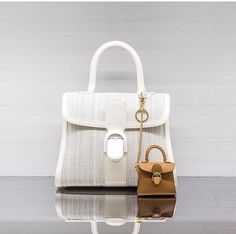 Delvaux Bag, Delvaux Brillant, Tiny Bag, Barneys New York, Lady Dior Bag, Arm Candy, Fun Bags, Leather Handbags, Chic Style