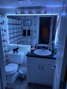 a bathroom with lights on the wall and a cat figurine in the sink