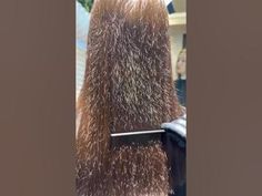 Split End Removal, Hair Split Ends Remedies, How To Remove Split Ends Hair, Spilt Ends How To Get Rid Of, How To Trim Split Ends Yourself, How To Remove Split Ends At Home, How To Get Rid Of Split Ends At Home, How To Cut Split Ends At Home, How To Get Rid Of Split Ends