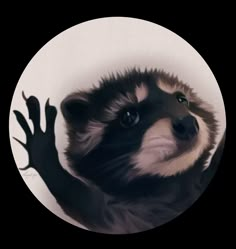 a raccoon with its arms outstretched in front of a white circular background,