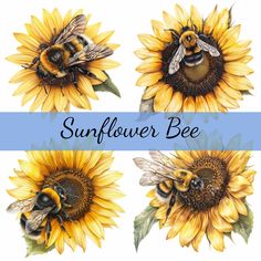 three sunflowers with bees on them and the words sunflower bee written in blue