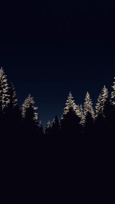 some trees are lit up at night with the moon in the sky