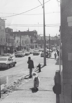 an old black and white photo of people walking their dog down the street in front of cars