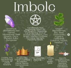 Imbolc Ritual, Wiccan Sabbats, Witch Spirituality, Witchcraft Spell Books, Witch Spell Book, Baby Witch, Herbal Magic