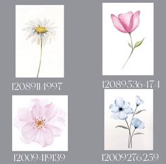 Cute Bloxburg Photo Codes, Modern Decal Codes For Berry Ave, Berry Avenue Flower Codes, Flower Store Bloxburg, Bloxburg Girly Decal Codes, Pink Carpet Codes Berry Ave, Bloxburg Spring House Ideas, Bloxburg Flower Picture Codes, Roblox Flower Decals