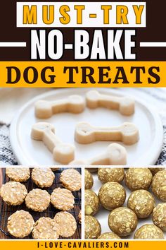 no bake dog treats with the title overlay