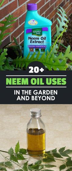 a bottle of nem oil sitting on top of a table next to green leaves