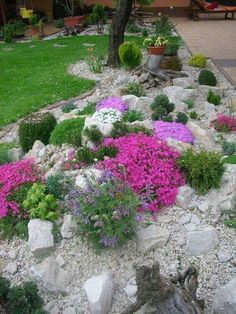 an image of a garden with flowers and rocks