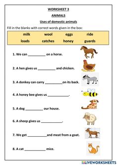 worksheet with animals and their names