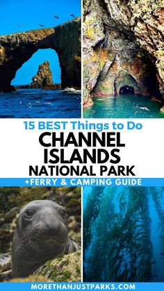 the best things to do in channel islands national park