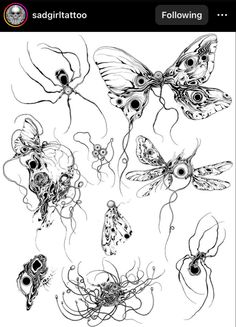 an image of butterflies and other insects on a cell phone with the caption's name