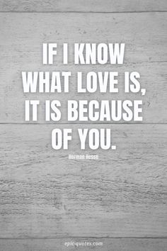 the quote if i know what love is, it is because of you