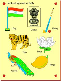 the national symbols of india are shown