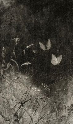 two butterflies are flying in the air above some grass and weeds, while another butterfly is on the ground