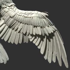 a large white bird flying through the air with its wings spread out and it's wing