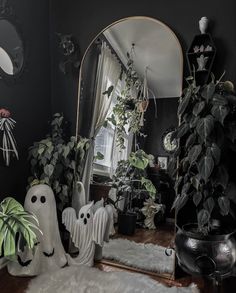 a mirror and some plants in a room