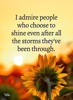 a sunflower with the quote i admire people who choose to shine even after all the storms they've been through