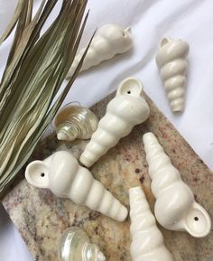 some sea shells are laying on a marble slab next to dried grass and seashells