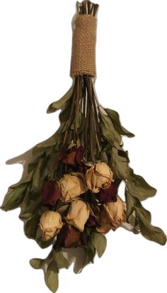 dried flowers hang from a rope on a white background