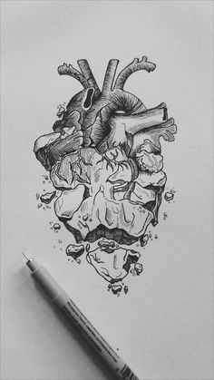 a pencil drawing of a human heart surrounded by bones and other things in the water