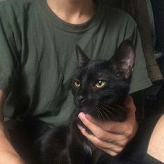 a man holding a black cat in his lap