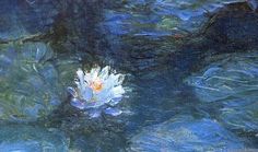 a white flower floating on top of a pond filled with water lillies and leaves