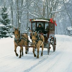 a horse drawn carriage traveling down a snow covered road