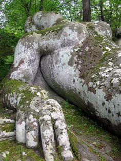 large rocks with moss growing on them in the woods