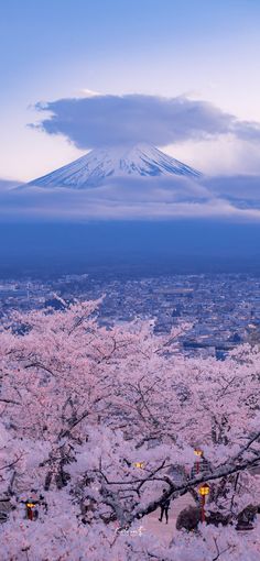 the view of mount fuji in the distance with cherry blossoms on trees and buildings below