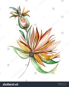 watercolor painting flower on white background