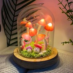 a group of mushrooms under a glass dome on top of a wooden stand with moss