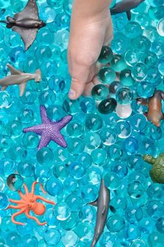 a child's hand reaching for some sea animals