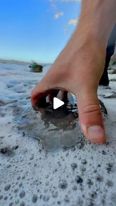 Aaron and Shae on Instagram: "Here is an ammonite rock that we found amongst the beach stones 🏝🦑 These ammonites are around 185 Million Years Old 💀 
If you’d like an ammonite rock to crack open, please message us directly on yorkshire fossils or visit our website yorkshirefossils.NET 🦕 For more videos, check out our YouTube channel Yorkshire Fossils 🏝 Thanks for supporting our page! 🐊 #natural #nature #fossil #fossils #ancient #animals #art #ammonite #ammonites #dinosaur #scientist  #minerals #paleontology #whitby #geologist #dorset #geology #charmouth #jurassic #yorkshire #beach #coast #sea #water #squid" Rocks Aesthetic, Rock Polishing, Geology Art, Fossil Art, Sea Rocks, Fossil Hunting, Rock Aesthetic, Rocks And Fossils, Ancient Animals