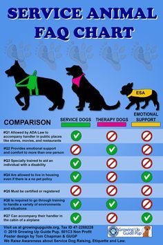 the service animal faq chart is shown in this graphic, with instructions for how to use