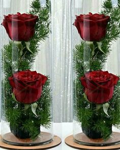 two glass vases with red roses in them