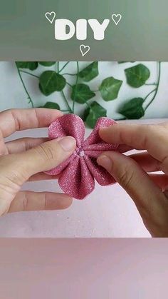 two hands are holding a pink flower with green leaves in the background that says, diy