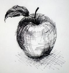 Stylo Art, Cross Hatching, Still Life Drawing, Drawing Tutorials, Pen Art, Life Drawing, A Drawing