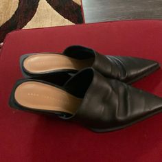 Cute Zara Trafaluc Mules. New, Never Worn. Black. Marked Size 39. Pointed Toe Mules For Fall, Casual Evening Heels For Fall, Black Mules For Workwear In Spring, Black Mules For Spring Workwear, Black Mules For Work, Black Mules For Workwear, Casual Black Mules For Office, Fitted Mules For Formal Occasions In Fall, Fitted Mules For Formal Fall Occasions