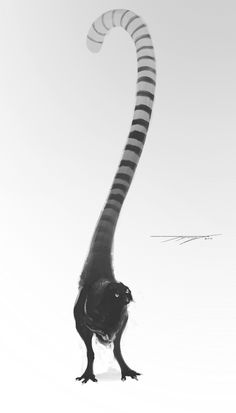 a black and white photo of a monkey with its tail in the air