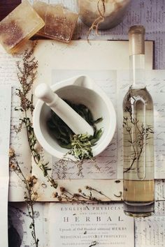 DIY: How To Store and Make Your Own Herbal Remedies ↣✿ Herbal Apothecary, Natural Healing Remedies, Healing Plants, Diy Remedies, Herbal Healing, Natural Diy, Healing Herbs, Back To Nature, Natural Home Remedies