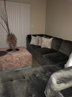 a living room with two couches and a coffee table