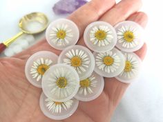 a person holding six small white flowers in their palm with a gold spoon next to them