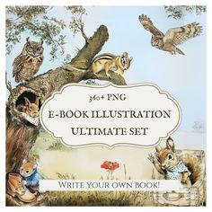 the book illustration ultimate set includes an owl, squirrel and other animals