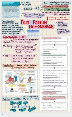 a poster with different types of writing and numbers on the page, including information about them