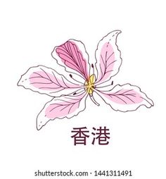 Hong Kong Orchid Tattoo, Bauhinia Flower Drawing, Hong Kong Orchid, Orchid Tree, National Flower, Wrist Tattoos For Women